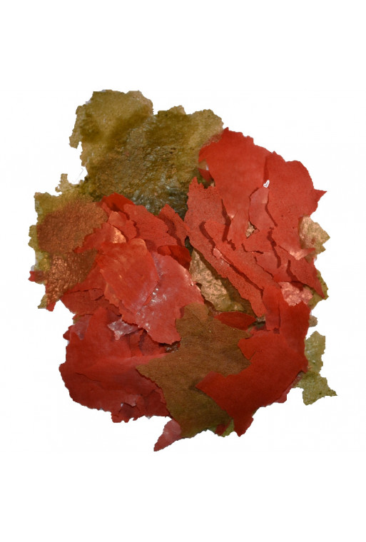 1000g/5,5liter Cichlideflager