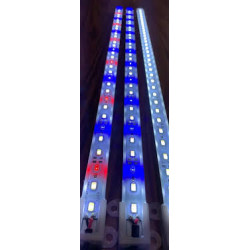 Aqualight LED skinne 67cm (flere varianter)