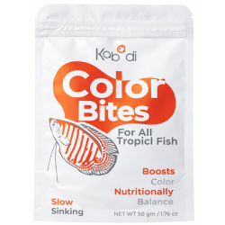 Kabadi Color Bites
