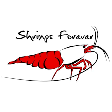Shrimps forever